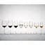 Бокал для шампанского Riedel Superleggero Champagne 464 мл (6425/28) - миниатюра 4