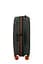 Валіза 55 См Samsonite PRODIVER HS CLIMBING IVY 55x40x20(23) KU7*24001 - мініатюра 5