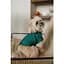 Сорочка Pet Fashion Seaman для собак XХS - мініатюра 8