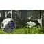 Ключ активації Microsoft The Talos Principle для Xbox One/Series - мініатюра 4
