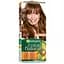 Фарба для волосся Garnier Color Naturals відтінок 6.34 карамель 110 мл (C4431926) - мініатюра 1