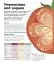 How Food Works: The Facts Visually Explained - мініатюра 8