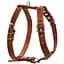 Шлея для собак Collar одинарна, шкіра, 49-68х68-80х2,5 см, коричневий (6386) - мініатюра 1