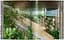 Contemporary Japanese Architecture. 40th Edition - миниатюра 4