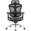 Крісло офісне Sihoo Doro C300 Pro Mesh Black (DORO-C300-PRO-M101) - мініатюра 1