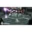Гра Ys Origin (Nintendo Switch) - мініатюра 4