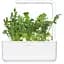 Змінний картридж Click & Grow Smart Garden Рукола, 3 капсули (8769) - мініатюра 6