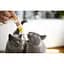 Паста для кошек GimCat Duo Paste Multi-Vitamin с сыром 50 г (G-421841) - миниатюра 4