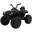 Електроквадроцикл Ramiz Quad ATV 2.4G 12 В, чорний (PA.BDM0906.2.4GHZ.CZ) - мініатюра 1