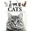 Cats - Фотопулос Джулианна - миниатюра 1