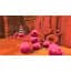Ключ активації Microsoft Slime Rancher Rainbow Bundle для Xbox One/Series S/X - мініатюра 5