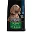 Сухий корм Farmina Cibau Puppy Maxi для цуценят великих порід, з куркою, 2.5 кг - мініатюра 1