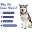 Спрей Pet Clean Dental для гигиены полости рта и поддержания здоровья зубов домашних животных 100 мл - миниатюра 3