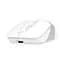 Компьютерная мышка A4Tech FB10CS Wireless/Bluetooth Grayish White (4711421967730) - миниатюра 4