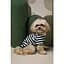 Футболка Pet Fashion Breeze для собак XS - миниатюра 7