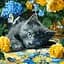 Картина по номерам "Кошка голубоглазая" ©art_selena_ua KHO6795, 40х40 см - миниатюра 1