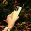 Чохол-накладка Native Union Active Case Lemon для iPhone 16 Pro (ACTCSE-LMO-NP24P) - мініатюра 2