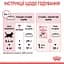 Сухий корм для кошенят Royal Canin Kitten м'ясо птиці та рис 0.4 кг - мініатюра 8
