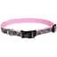 Нашийник для собак Coastal Lazer Brite Reflective Collar 1.6х30-46см світловідбиваючий (46441_PNH18) - мініатюра 1