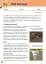 Collins Primary History: Stone Age to Iron Age Pupil Book - миниатюра 2