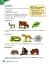 Macmillan Science. Level 4. Student's Book & eBook - миниатюра 4