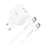 Комплект блок и кабель зарядные Hoco N29 Triumph Type-C to Type-C charger set белый - миниатюра 1