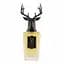 Екстракт Pana Dora Onyx Black 100 мл - мініатюра 1