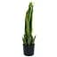 Штучна рослина Engard Sansevieria 57 см (TW-43) - мініатюра 4