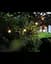 Гирлянда Nowodvorski 7873 Festoon lights E27 10x15W IP65 Bl - миниатюра 4