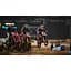 Ключ активации Microsoft Monster Energy Supercross - The Official Videogame 3 для Xbox One/Series - миниатюра 7