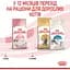 Сухий корм для кошенят Royal Canin Kitten м'ясо птиці та рис 0.4 кг - мініатюра 6
