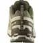Кроссовки Salomon XA PRO 3D V9 GTX 9 Deeplichengreen/Safari - миниатюра 4