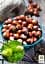 Саженец Agro-Market Фундук Косфорд (средний срок созревания, перекрестное опыление, сажать по 2 шт.) 1 шт. в упаковке (24612) - миниатюра 2