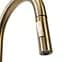 Смеситель для кухни с вытяжным изливом Rea Fresh brushed gold (REA-B9148) золотой - матовый - миниатюра 5