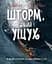 Книга Левит Шторм, який ущух - мініатюра 1