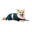 Комбінезон Pet Fashion Den для собак S3 - мініатюра 2