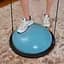 Балансировочная платформа Hop-Sport Bosu HS-L058 голубой - миниатюра 9