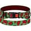 Ошейник для собак BronzeDog Urban Fruits S - миниатюра 1