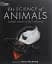 The Science of Animals - мініатюра 1