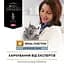 Сухой корм для котов при заболеваниях почек Purina Pro Plan Veterinary Diets NF Renal Function, 350 г (12382818) - миниатюра 6