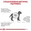 Сухий дієтичний корм для кошенят Royal Canin Gastrointestinal Kitten при порушенні травлення, 2 кг (1228020) - мініатюра 6