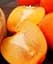 Саджанець Agro-Market Хурма Шарон на віргінській морозостійкій підщепі 1 шт. в упаковці (50085) - мініатюра 1