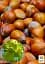 Саженец Agro-Market Фундук Вебба Ценный (средний срок созревания, перекрестное опыление, сажать по 2 шт.) 1 шт. в упаковке (23929) - миниатюра 2