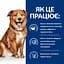 Сухой корм для собак Hill’s Prescription Diet Derm Complete при пищевой аллергии и атопическом дерматите, 4 кг - миниатюра 4