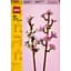 Конструктор LEGO Botanicals Цвет вишни 430 деталей (40725) - миниатюра 1