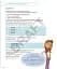 Cambridge Primary Computing Learner's Book 4 with Digital Access (1 Year) - миниатюра 7