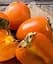 Саджанець Agro-Market Хурма Українка на віргінській морозостійкій підщепі 1 шт. в упаковці (50082) - мініатюра 1
