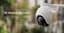 IP-камера для відеоспостереження iMiLab Security Camera EC6 - мініатюра 8