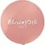 Моно-тени для век Bourjois Ombre A Paupieres, тон 11, 1,2 г (8000019329915) - миниатюра 1