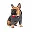 Худі Pet Fashion Snoodie для собак, розмір SM, сірий - мініатюра 4